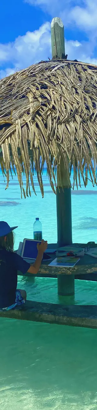 Im Meer am Lernen
